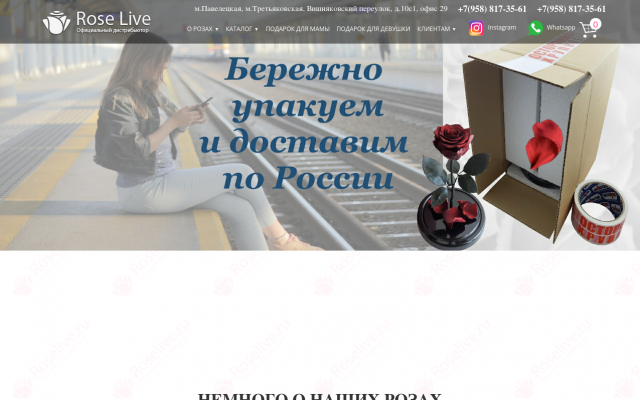 купить цветок в колбе купить цветок в колбе